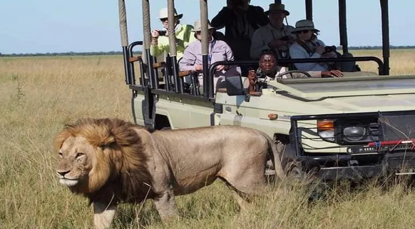 10 Essential Travel Tips for Exploring Africa Like a Pro