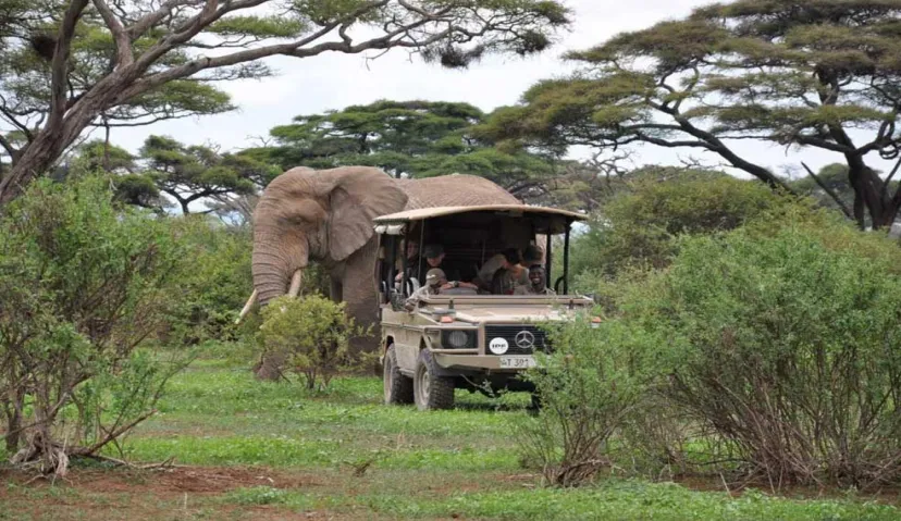 Test Tour Zanzibar 2