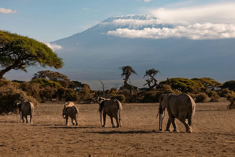 Tanzania